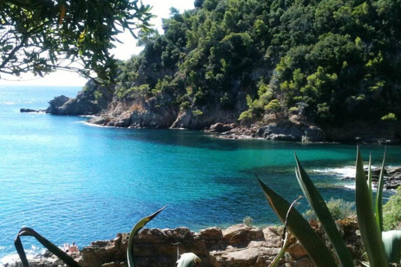 Appartement Le Noisetier à Cavalaire-sur-Mer Extérieur photo