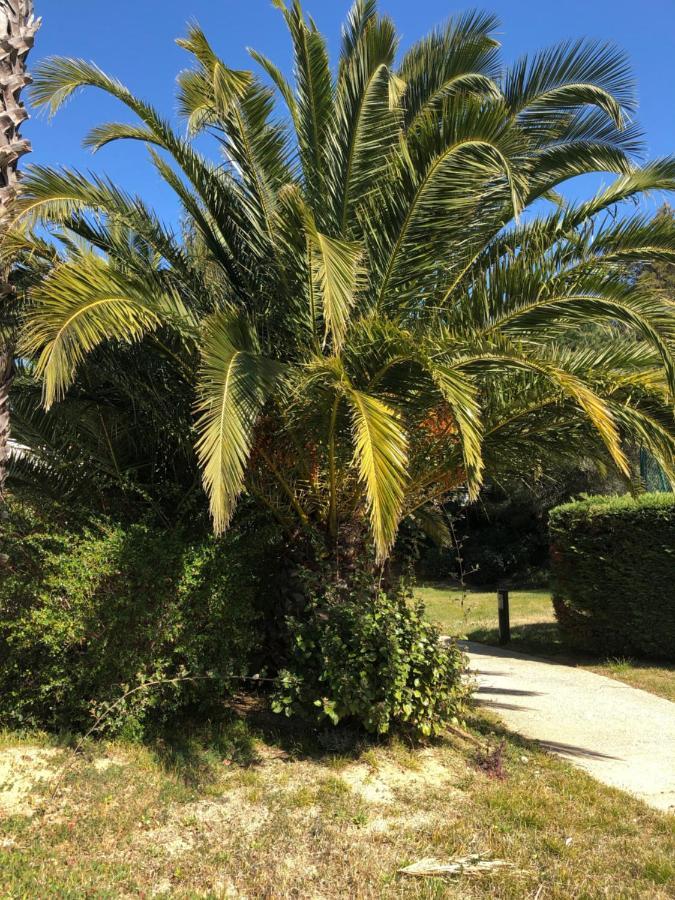 Appartement Le Noisetier à Cavalaire-sur-Mer Extérieur photo
